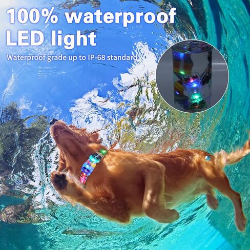 2 حزمة من أطواق الكلاب المضيئة، طوق كلب LED قابل لإعادة الشحن مقاوم للماء، طوق متوهج بإبزيم للكلاب المتوسطة والكبيرة الحجم - ML (الرقبة: 14.17-24.8 بوصة) in Kuwait