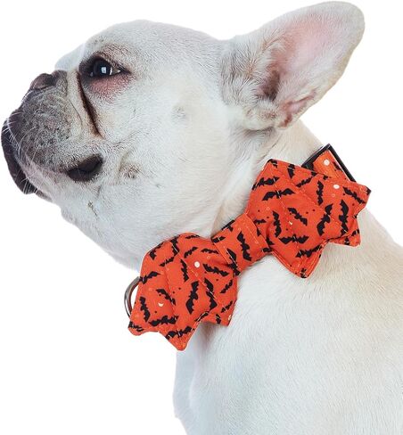 طوق الهالوين للكلاب مع ربطة عنق على شكل خفاش للحيوانات الأليفة للكلاب، كلاسيكي للهالوين، ياقات على شكل فيونكة بإبزيم قابل للتعديل (S) in Kuwait