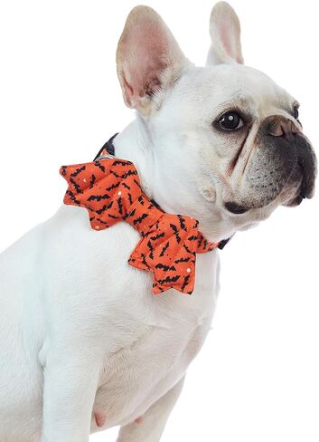 طوق الهالوين للكلاب مع ربطة عنق على شكل خفاش للحيوانات الأليفة للكلاب، كلاسيكي للهالوين، ياقات على شكل فيونكة بإبزيم قابل للتعديل (S) in Kuwait