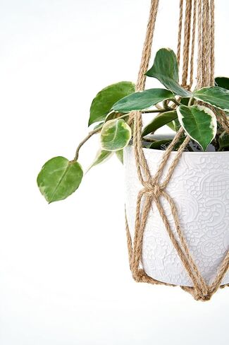 Dahey Macrame Plant Hanger Set of 3 with Hooks Indoor Hanging Planter Basket 35"/29"/23" Handmade Woven Cotton Rope Flower Pot Crochet Plant Holder Stand for Boho Home Decor No Tassels,Beige in Saudi Arabia