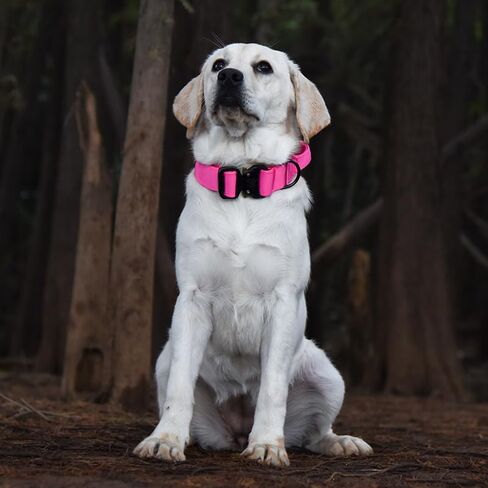 Tactical Dog Collar - Adjustable Military Training Soft Neoprene Padded Nylon Collar with Control Handle and Heavy Duty Metal Buckle for Medium and Large Dogs (L, Hot Pink) in Saudi Arabia