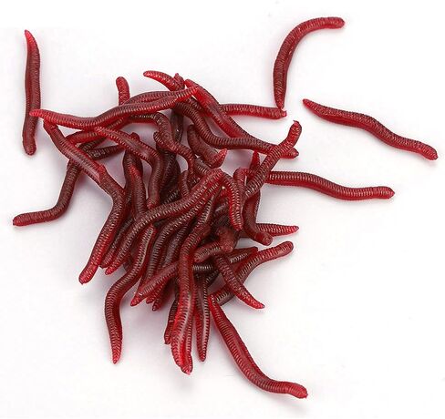 Yctze Soft Insects Fishing Lure, False Earthworm Sea Bait, Bloodworm Artificial Baits, Ideal for Sea Fishing in Saudi Arabia