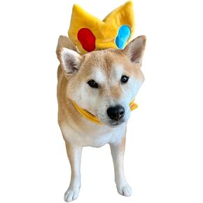 ComfyCamper Princess Dog Tiara Headpiece - Crown XS Small XLarge XXL Cosplay Halloween Christmas Costumes, M