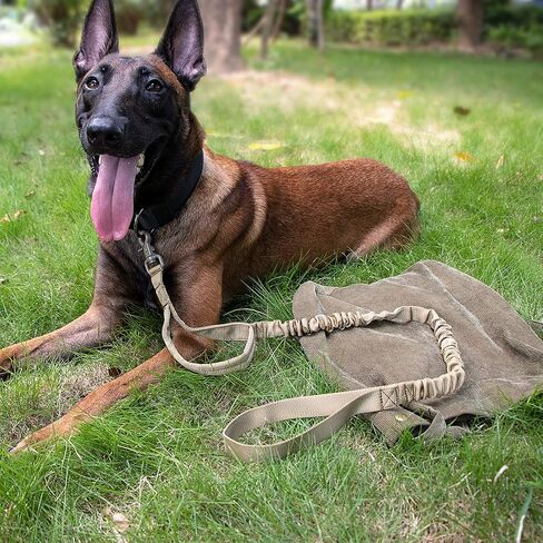 IronSeals Tactical Dog Training Bungee Leash Quick Release Buckle with Control Handle - CP Camouflage in Saudi Arabia