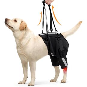 Dotoner Dog Sling for Large Dogs Hind Leg Support Harness with Magic Tape & Reflective Strip Assists Elderly Dogs with Weak Hind Legs, Disabilities Help 'Em Up Lift Harness for Dogs