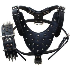 Leather Sharp Spiked Studded Medium & Large Dog Collars, Harnesses 2Pcs Matching Set for Pit Bull,Mastiff, Boxer, Bull Terrier(Black,L)