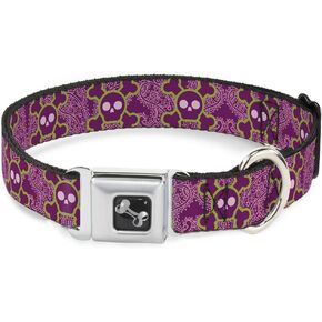 Buckle-Down Seatbelt Buckle Dog Collar - Cute Skulls w/Paisley Purple/Pink/Green - 1" Wide - Fits 11-17" Neck - Medium