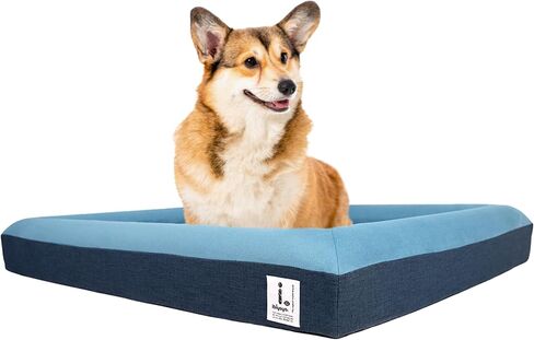 ibiyaya - Orthopedic Bed for Small Dogs - Dog Sofa Bed Small, Supportive Foam Pet Couch with Removable Washable Cover, Waterproof Lining and Nonskid Bottom - Brick Red in Kuwait