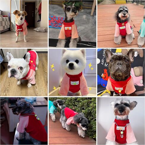 Dog Sweater,Cozy Velvet Dog Winter Clothes for Small Dogs Boy Girl, Dog Pajamas，Street Style Dog Clothes,Dog Pullover Jumper in Saudi Arabia