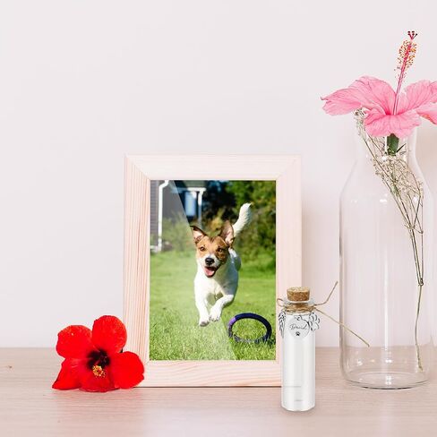 Pet Hair Memorial Glass Bottle,Vial for Ashes Or Hair Dog Or Cat Keepsake Pet Loss Memory Sympathy Gift (1pcs Glass Bottle) in Kuwait