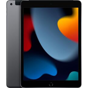Apple iPad 2021 (10.2-inch, Wi-Fi, 64GB) - Space Gray (Renewed)