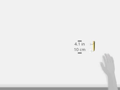 رابالا (ラパラ) ポッパー ストーム ラトリンチャグバグ 6cm 7g CB ルアー in Saudi Arabia