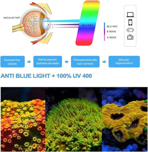 نظارات عرض الشعاب المرجانية بالأشعة فوق البنفسجية من Bubble Magus، زجاج للأشعة فوق البنفسجية لخزان الشعاب المرجانية في المياه المالحة، عرض SPS LPS Zoas in Saudi Arabia