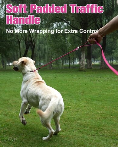 Aiyuda Tangle-Free Slip Lead for Dogs with Padded Traffic Handle, Reflective Dog Training Leash, 6ft Dog Leads for Walking, Double Handle Leash for Puppy, Small, Medium Dogs Under 40 LBS,Red/Black in Saudi Arabia