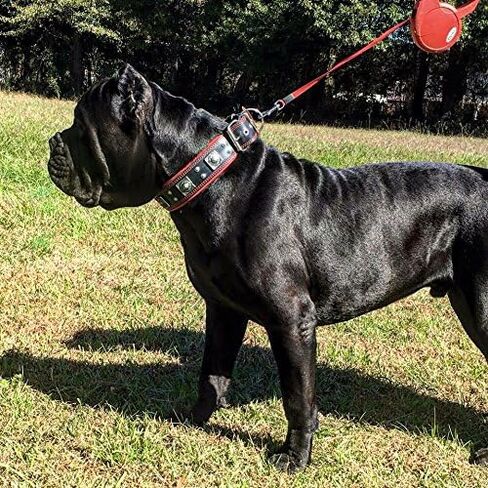 Bestia The Black Eros Collar for Big Dogs. 2.5 inch Wide & Soft Padded in Saudi Arabia
