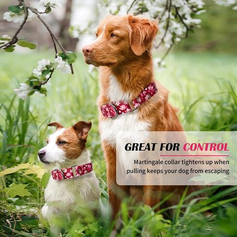 Hikiko Martingale Collar for Dogs with No Buckle Floral Daisy Dog Collar Soft Nylon No Pull Dog Collars for Small Dogs,Green Flower,S in Saudi Arabia