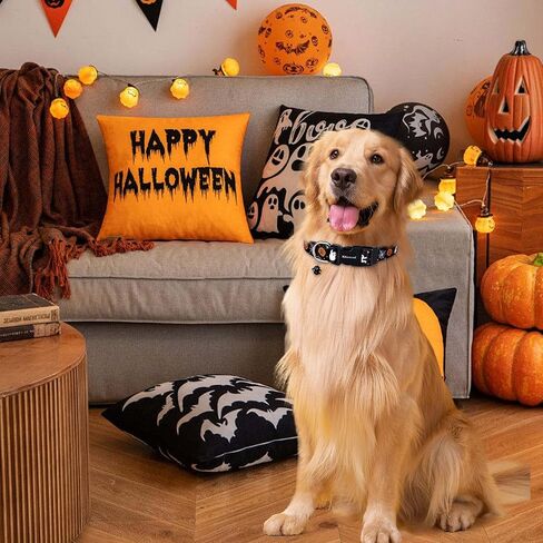 Ktinnead Halloween Dog Collars, November 1st All Saints Dog Collar, Holiday Pet Collar Pet Gift Dog Collar with Cute Pendant for Small,Medium,Large Dogs,Male,Female in Kuwait
