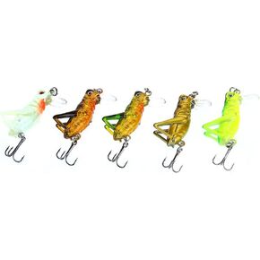 Bnineteenteam 5Pcs Fishing Lure,Artificial Fishing Lure Baits with Carry Box for Fishing Accessory Bait