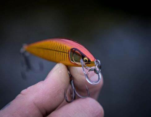 Rapala CDE55 Countdown Elite in Saudi Arabia