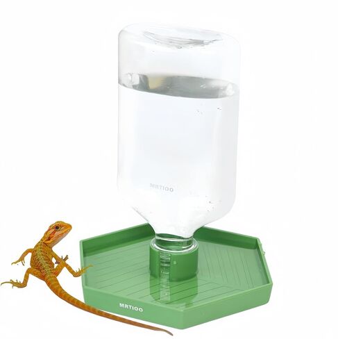 17oz Terrarium Tank Reptile Food Feeders Bowl, Water Feeder Automatic Water Dispenser Waterer Feeding Accessories, for Geckos Lizards Turtle Bearded Dragons (Gray Green) in Saudi Arabia