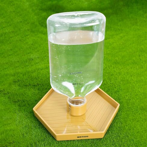 17oz Terrarium Tank Reptile Food Feeders Bowl, Water Feeder Automatic Water Dispenser Waterer Feeding Accessories, for Geckos Lizards Turtle Bearded Dragons (Gray Green) in Saudi Arabia