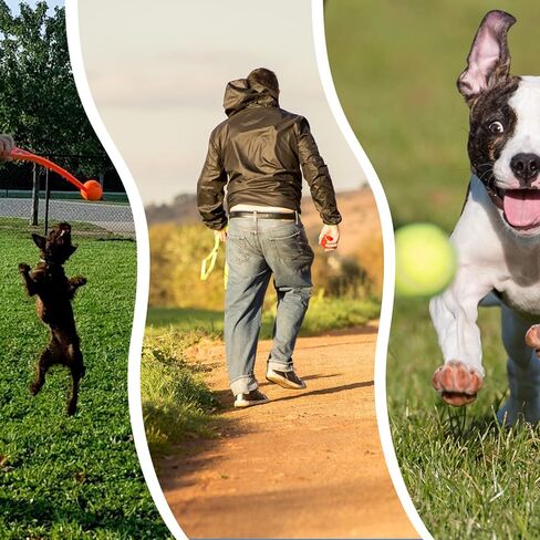 ptlsy Dog Ruber Balls 16 Pack Pet Mini Tennis Ball for Small Medium Dogs Fetching (2 inch) in Kuwait