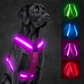 Light Up Dog Harness,Led Dog Harness Rechargeable,Lighted Dog Harness Glow in The Dark, LED Dog Vest Reflective,Light Up Harness for Dogs,Dog Lights for Night Walking(Blue,M)