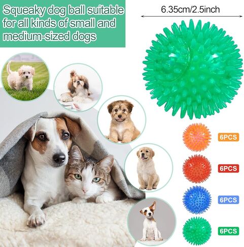 Wedding Pails 2.5" Squeaky Dog Ball,24 Pieces Dog Chew Toys Balls with Spike for Teeth Clean and Train | TPR Rubber Fetch Balls for Small Medium Pets Dog(Red, Blue, Orange,Green) in Kuwait