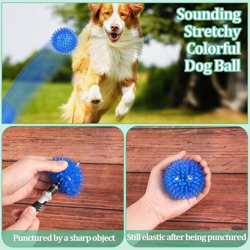 Wedding Pails 2.5" Squeaky Dog Ball,24 Pieces Dog Chew Toys Balls with Spike for Teeth Clean and Train | TPR Rubber Fetch Balls for Small Medium Pets Dog(Red, Blue, Orange,Green) in Kuwait