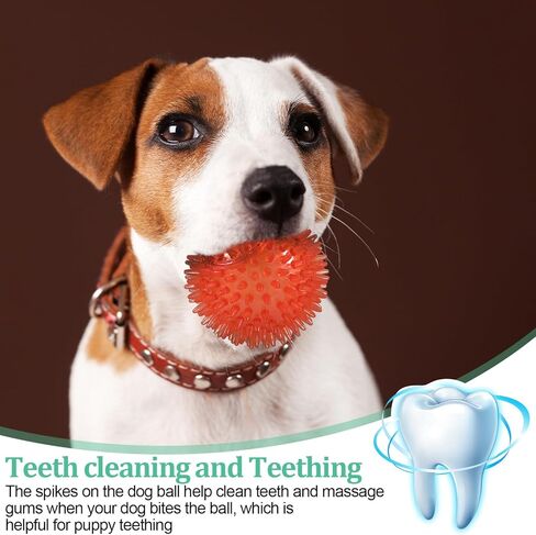 Wedding Pails 2.5" Squeaky Dog Ball,24 Pieces Dog Chew Toys Balls with Spike for Teeth Clean and Train | TPR Rubber Fetch Balls for Small Medium Pets Dog(Red, Blue, Orange,Green) in Kuwait