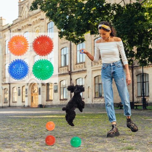 Wedding Pails 2.5" Squeaky Dog Ball,24 Pieces Dog Chew Toys Balls with Spike for Teeth Clean and Train | TPR Rubber Fetch Balls for Small Medium Pets Dog(Red, Blue, Orange,Green) in Kuwait