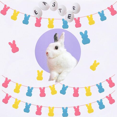 لافتة ديكورات عيد الفصح من Vnysh ST Patricks لافتة ديكور على شكل أرنب عيد الفصح 6 قطع لافتة إكليل من اللباد على شكل أرنب عيد الفصح - بدون تصميم يدوي للمنزل، والمدفأة، والجدار، والمكتب in Kuwait