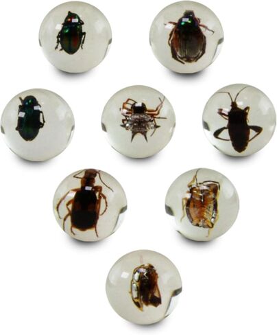 Safari Ltd. Geoworld Bug Marbles - Set of 8 Marbles 1 Inch with Real Insect Specimens in Saudi Arabia