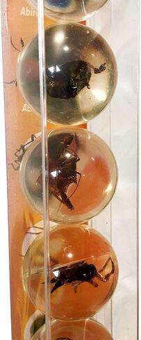 Safari Ltd. Geoworld Bug Marbles - Set of 8 Marbles 1 Inch with Real Insect Specimens in Saudi Arabia