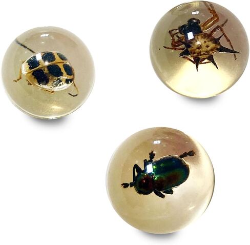 Safari Ltd. Geoworld Bug Marbles - Set of 8 Marbles 1 Inch with Real Insect Specimens in Saudi Arabia