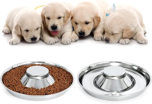 مجموعة من طبقين من الفولاذ المقاوم للصدأ للكلاب، أوعية من الفولاذ المقاوم للصدأ للجراء والقطط، وأطباق الفطام للفضلات، وأوعية تغذية متينة للكلاب والقطط من الفولاذ المقاوم للصدأ، حجم كبير in Kuwait