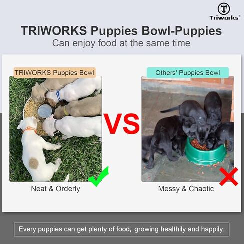 مجموعة من طبقين من الفولاذ المقاوم للصدأ للكلاب، أوعية من الفولاذ المقاوم للصدأ للجراء والقطط، وأطباق الفطام للفضلات، وأوعية تغذية متينة للكلاب والقطط من الفولاذ المقاوم للصدأ، حجم كبير in Kuwait