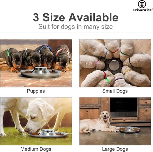 مجموعة من طبقين من الفولاذ المقاوم للصدأ للكلاب، أوعية من الفولاذ المقاوم للصدأ للجراء والقطط، وأطباق الفطام للفضلات، وأوعية تغذية متينة للكلاب والقطط من الفولاذ المقاوم للصدأ، حجم كبير in Kuwait