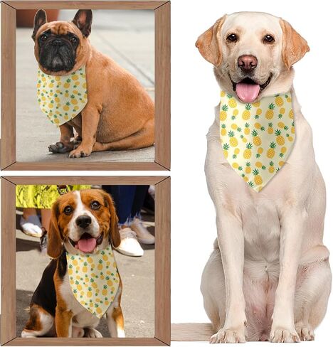 الصيف الكلب عصابات الأناناس الكلب عصابات مثلث المرايل للكلاب الصغيرة المتوسطة مضحك جرو باندانا صور الدعامة الحيوانات الأليفة وشاح الملحقات لمحبي الكلاب الأليفة الهدايا in Kuwait