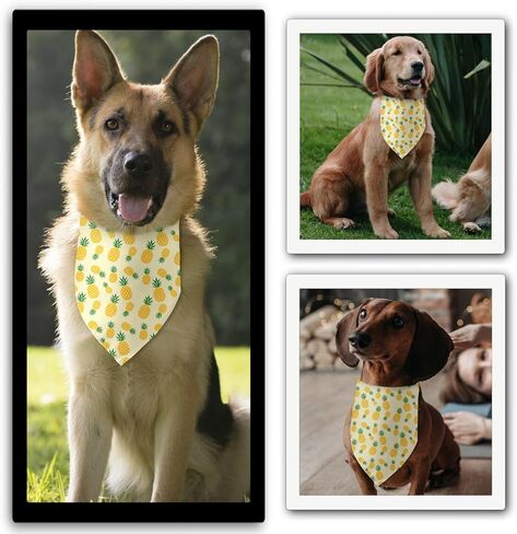 الصيف الكلب عصابات الأناناس الكلب عصابات مثلث المرايل للكلاب الصغيرة المتوسطة مضحك جرو باندانا صور الدعامة الحيوانات الأليفة وشاح الملحقات لمحبي الكلاب الأليفة الهدايا in Kuwait
