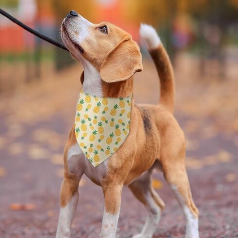 الصيف الكلب عصابات الأناناس الكلب عصابات مثلث المرايل للكلاب الصغيرة المتوسطة مضحك جرو باندانا صور الدعامة الحيوانات الأليفة وشاح الملحقات لمحبي الكلاب الأليفة الهدايا in Kuwait