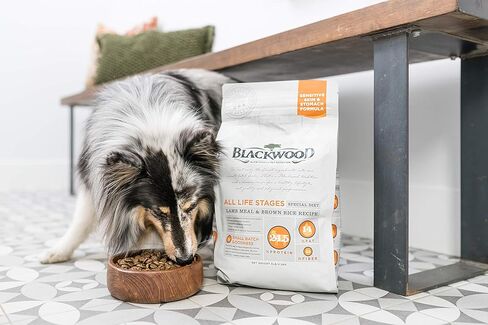 طعام بلاكوود للحيوانات الأليفة، طعام بلاكوود للكلاب مصنوع في الولايات المتحدة الأمريكية، طعام جاف ومطبوخ ببطء للكلاب [طعام للكلاب الحساسة والمعدة لحل حساسية الطعام بشكل طبيعي]، وصفة لحم الضأن والأرز البني، حقيبة بوزن 5 رطل in Kuwait