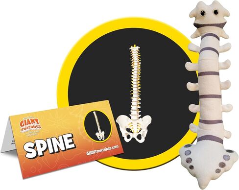 GIANTmicrobes Spine Plush - تعرف على جراحة العظام والأعصاب مع هذه الهدية الجيدة، هدية ممتعة فريدة للأصدقاء وأخصائيي تقويم العظام وجراحي الأعصاب والطلاب والمعلمين in Saudi Arabia
