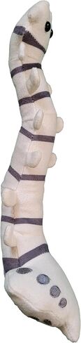 GIANTmicrobes Spine Plush - تعرف على جراحة العظام والأعصاب مع هذه الهدية الجيدة، هدية ممتعة فريدة للأصدقاء وأخصائيي تقويم العظام وجراحي الأعصاب والطلاب والمعلمين in Saudi Arabia