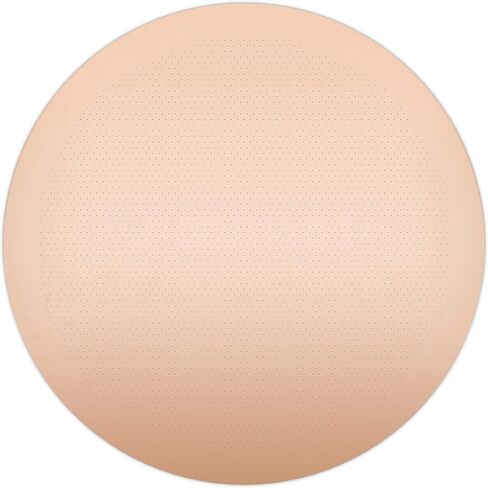 Filter for use in AeroPress Go/AeroPress Coffee Makers (Superfine) - Premium Replacement Disc - Reusable Metal, Titanium Coated Stainless Steel. Upgrade Your Mesh or Filter Papers in Saudi Arabia