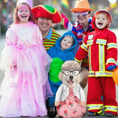 Talltalk 4 Pcs Old Lady Dogs Costume Set Grandma Dogs Costume Set Dog Halloween Costume with Pink Floral Dog Dress Wig Glasses Necklace for Dog Dress up(S Size) in Kuwait