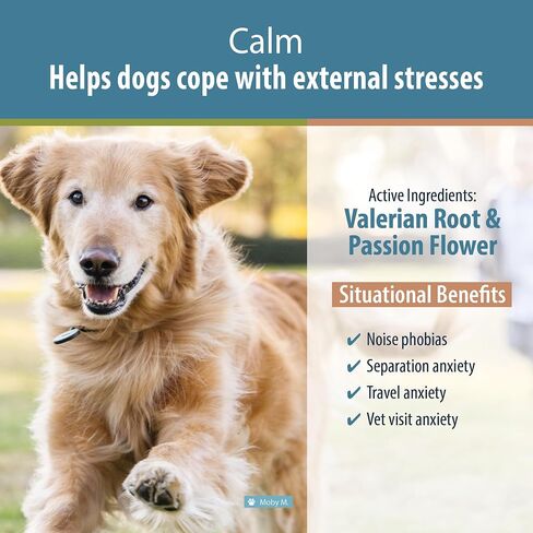 JustFoodForDogs Calm، مكمل مهدئ للكلاب للتوتر والقلق والسفر والعواصف الرعدية وفرط النشاط والألعاب النارية - 90 قطعة in Kuwait