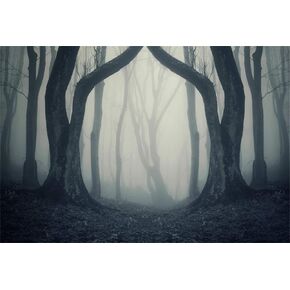 Misty Forest Halloween Backdrop Misty Woods Background LFEEY 10x8ft Magic Gloomy Tree Photography Backdrop Grove Vampire Witch Wizard Sorcerer Ghost Evil Scary Party Decoration Photo Studio Prop Vinyl