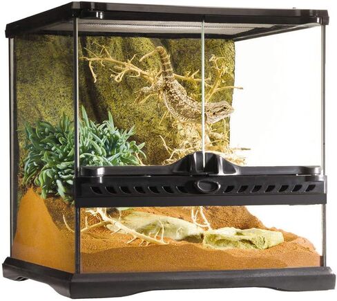 Exo Terra Glass Terrarium Kit, for Reptiles and Amphibians, Mini Wide, 12 x 12 x 12 Inches, PT2600A1 in Saudi Arabia