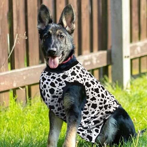 Recovery Suit for Dogs After Surgery, Dog Recovery Suit Female Male after Neutering, Dog Spay Surgical Recovery Suit Female Substitute Cone & E-Collar, Dog Onesie for Surgery Abdominal Wounds Bandages in Saudi Arabia